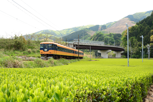 絶景探しの旅 寸又峡コース 大井川鐵道 公式