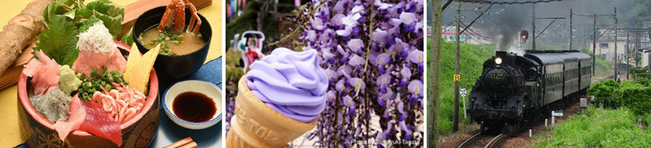 催行中止となりました 蓮華寺池公園の藤まつりと蓬莱橋 さかなセンター 大井川鐵道の旅 大井川鐵道 公式