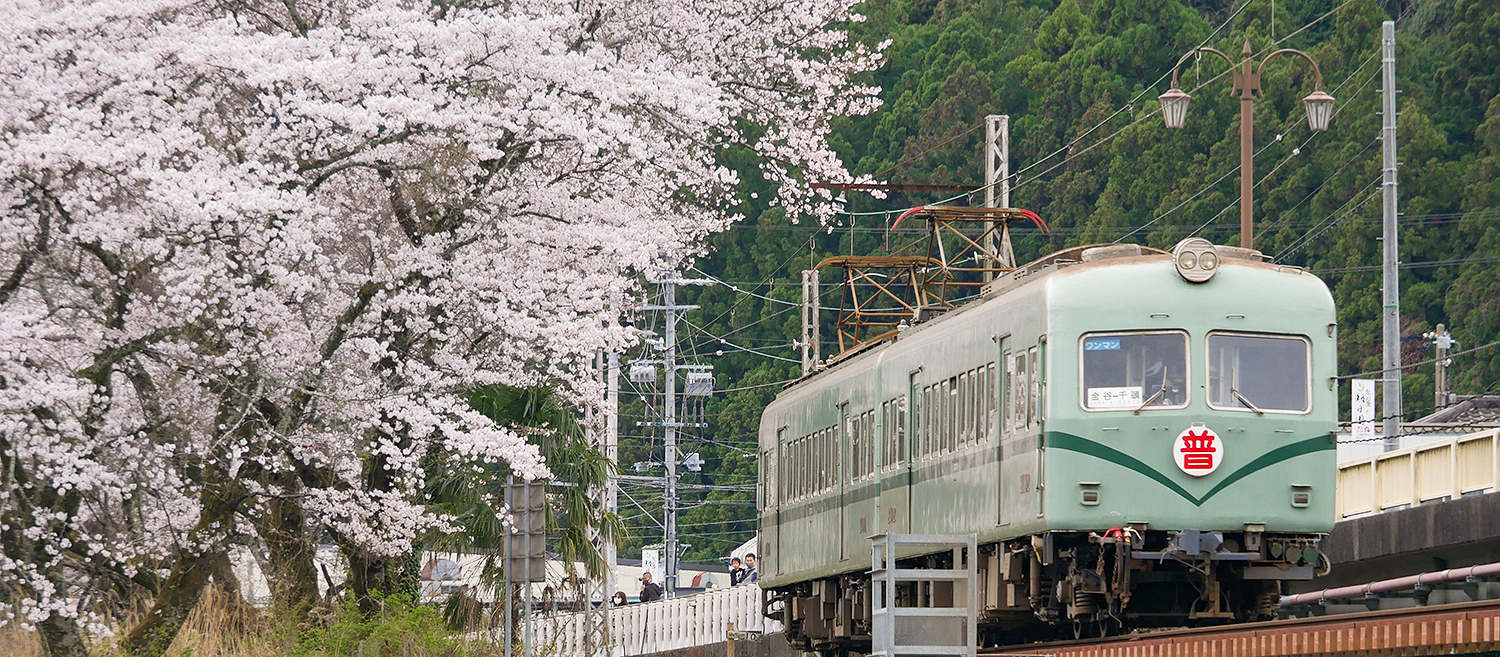 終了しました 大井川鐵道沿線の桜22 家山 桜トンネル周辺でel列車徐行運転 便利なパッケージプランも 大井川鐵道 公式