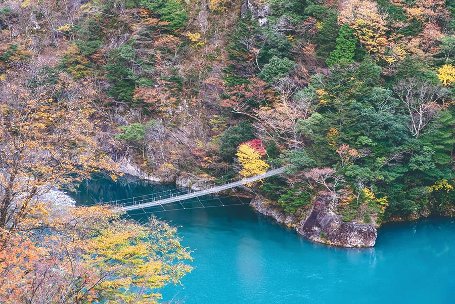 紅葉に包まれた寸又峡 夢のつり橋