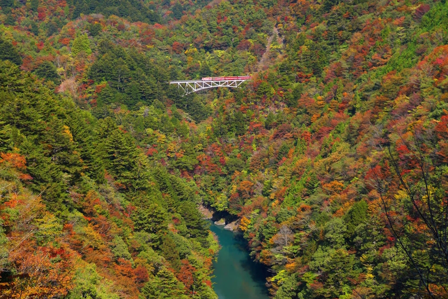 河床からの高さ日本一を誇る関の沢橋梁を渡るトロッコ列車