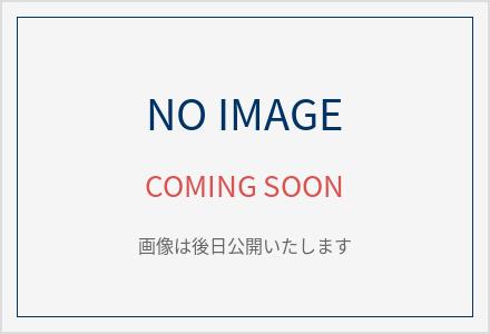 カスタマイズボールペン