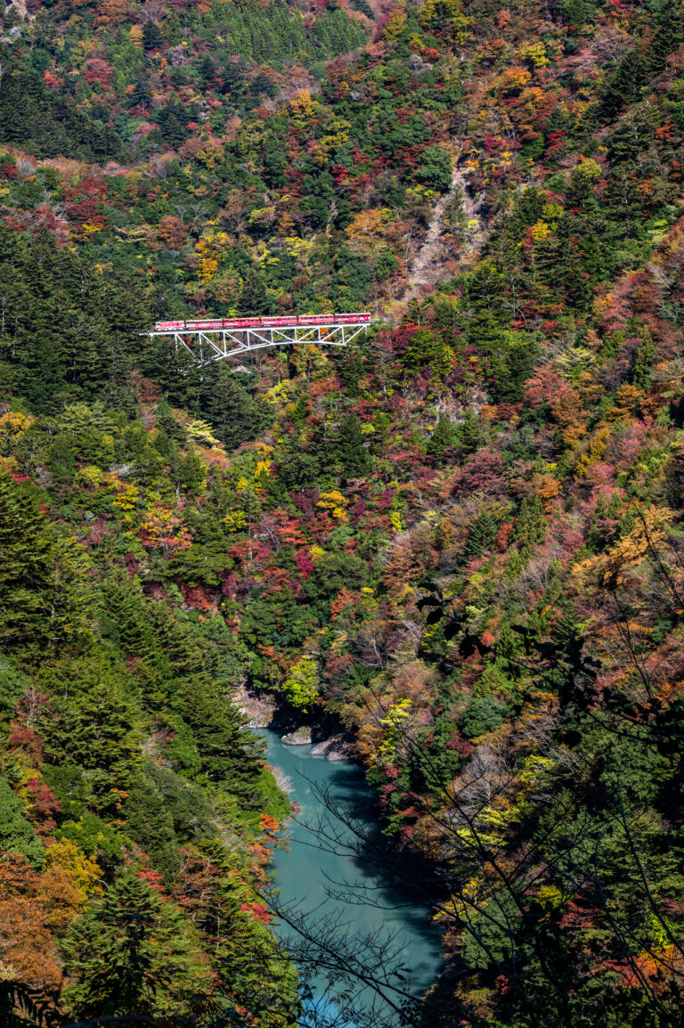 関の沢橋梁から見下ろす紅葉の渓谷
