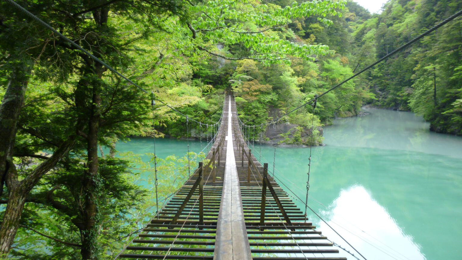 寸又峡の夢のつり橋を渡る目線から見た湖