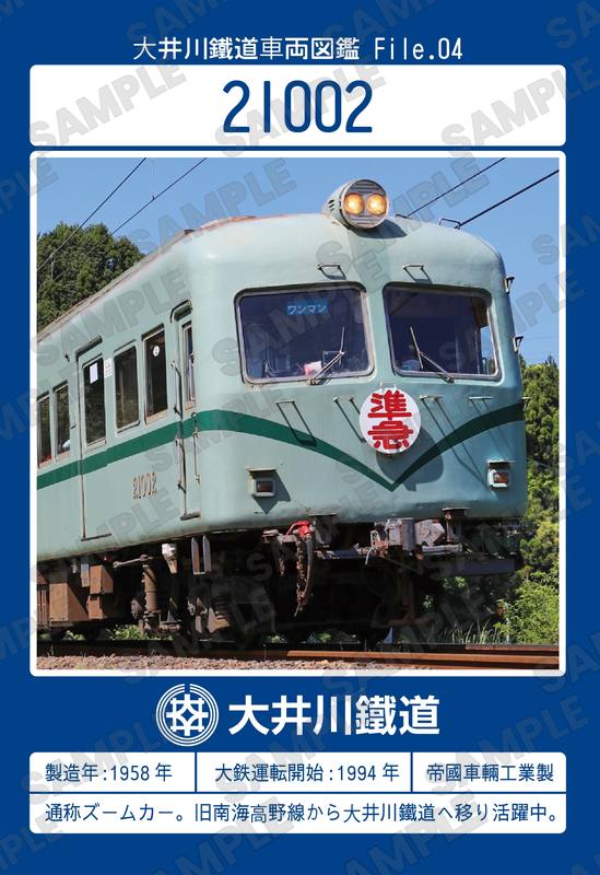 21002 見本